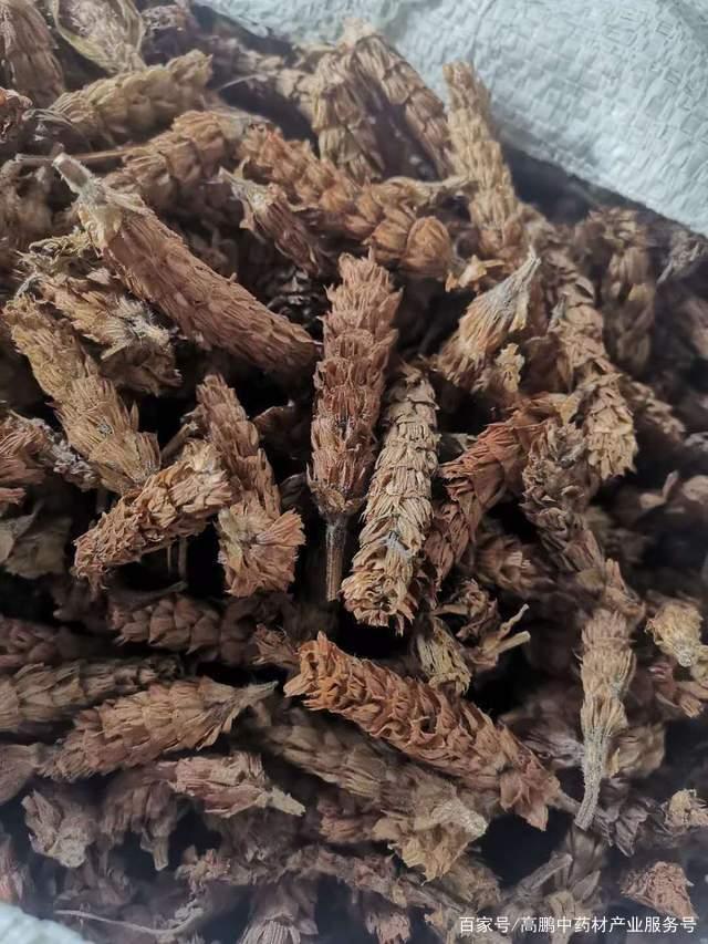 探秘亳州中藥材批發(fā)市場(chǎng) 傳統(tǒng)與創(chuàng)新的交匯之地