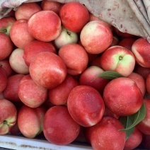 中藥材市場(chǎng)動(dòng)態(tài) 柴胡批發(fā)價(jià)格分析及一手貨源供應(yīng)指南