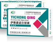 藥品批發新選擇 深入解析可素及其市場前景