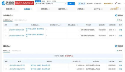 羅永浩拒不履行2142萬元債務，基礎(chǔ)軟件服務再陷風波